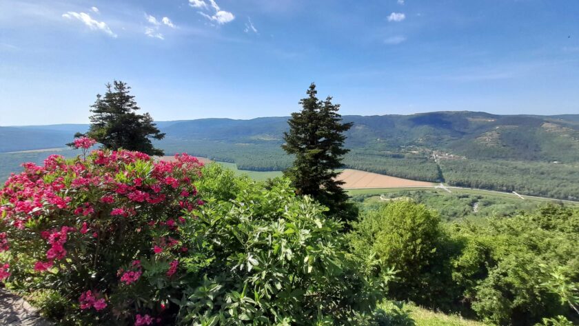 Lanýžové Motovun