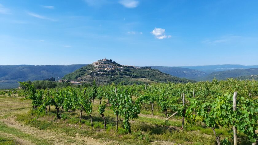 Lanýžové Motovun