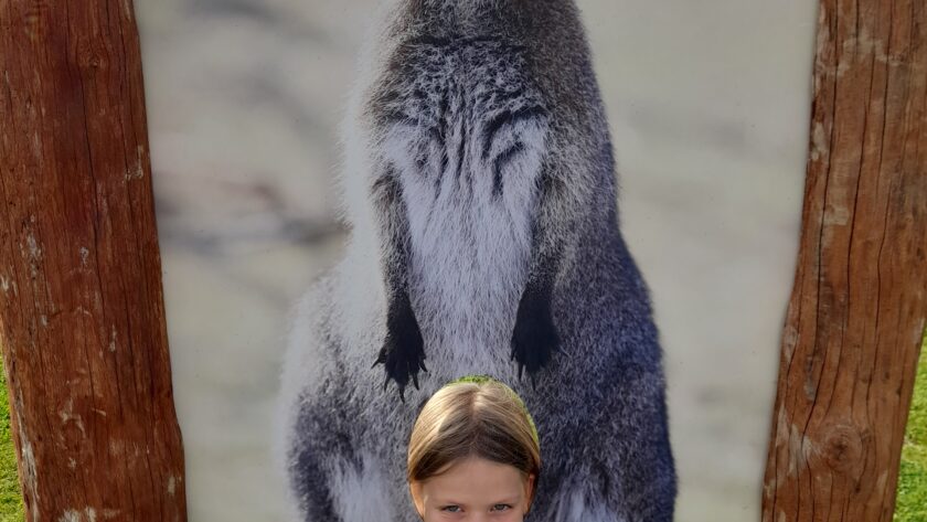 Zoopark Zelčín