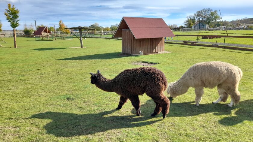 Zoopark Zelčín