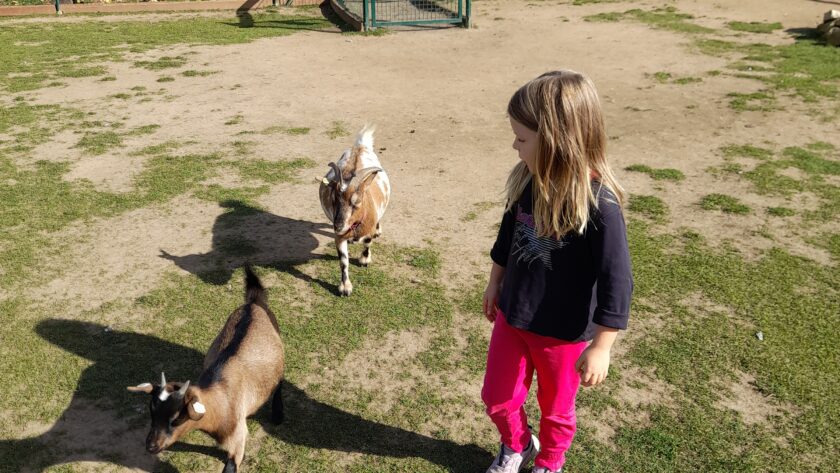 Zoopark Zelčín