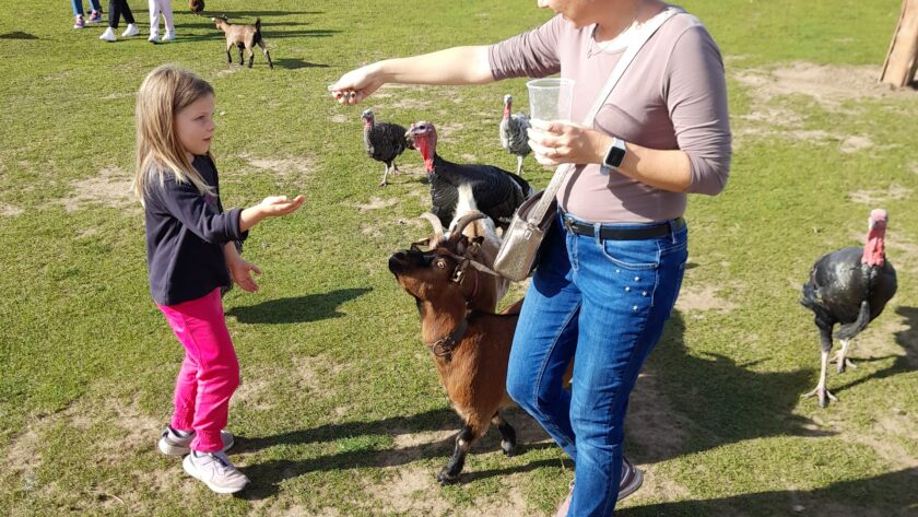 Zoopark Zelčín